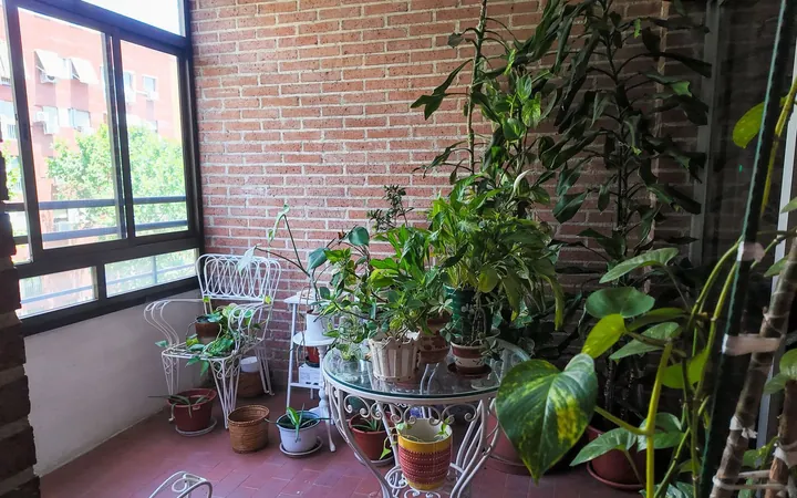 Piso en Pacífico, Pacífico - Foto 9