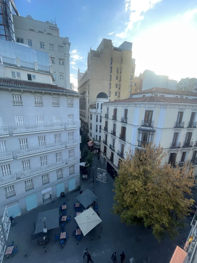 Ático en calle del Desengaño, 20 - Foto 14