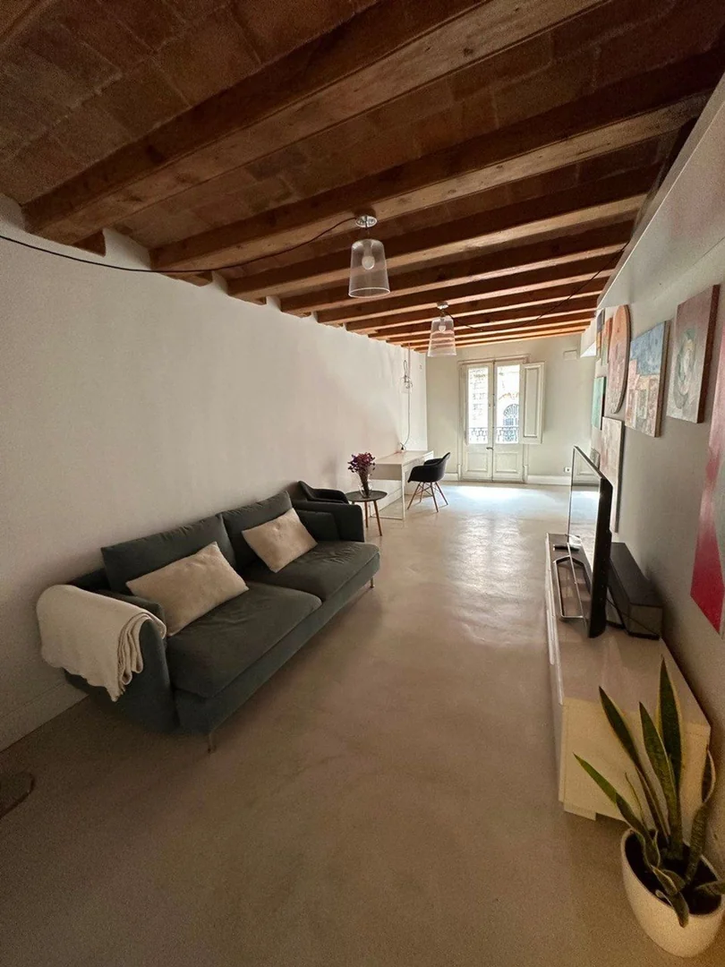 Piso en Via Laietana, 4, Sant Pere - Santa Caterina i la Ribera - Foto 3