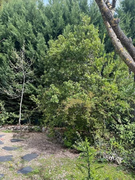 Casa independiente en Rivas Urbanizaciones - Foto 36