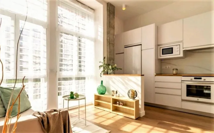Estudio en Avenida de Ramón y Cajal, 105, Colina - Foto 1