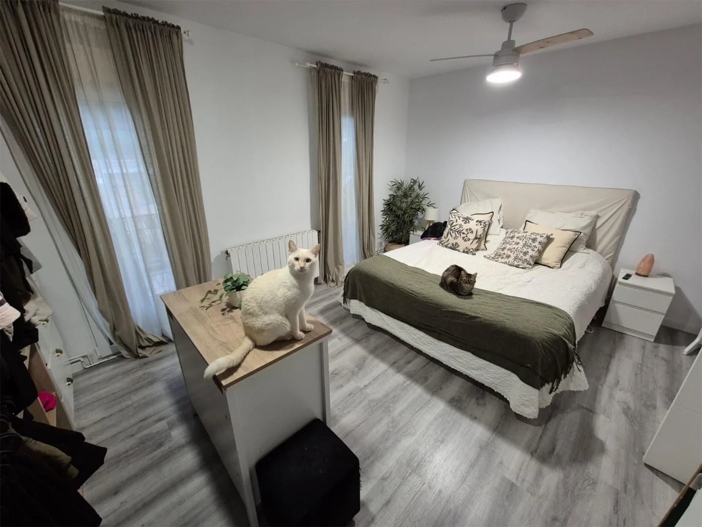 Piso en  Calle Alcalá 337 - Foto 6