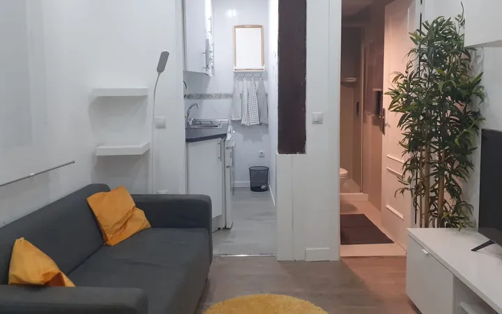 Piso en Calle de las Minas, 21, Malasaña-Universidad - Foto 1