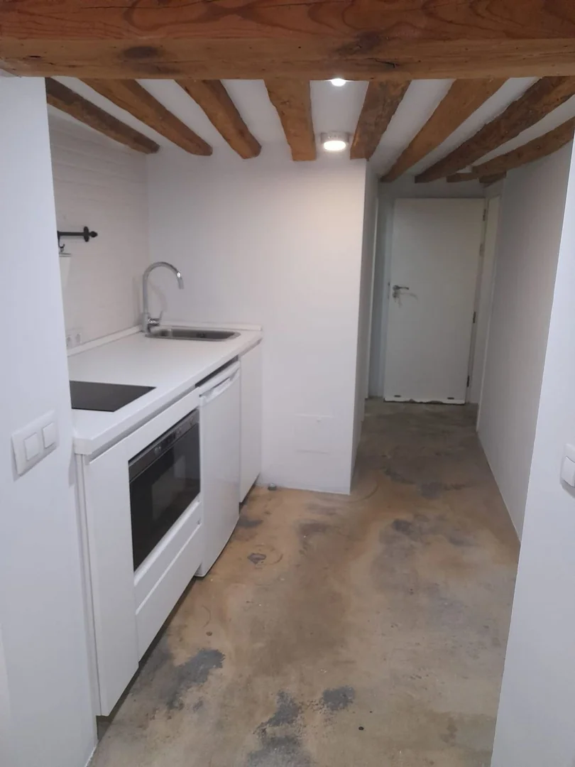 Estudio en Calle Salitre, 31, Lavapiés-Embajadores - Foto 10