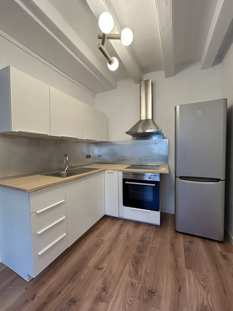 Estudio en calle d'En Mònec, 3 - Foto 22