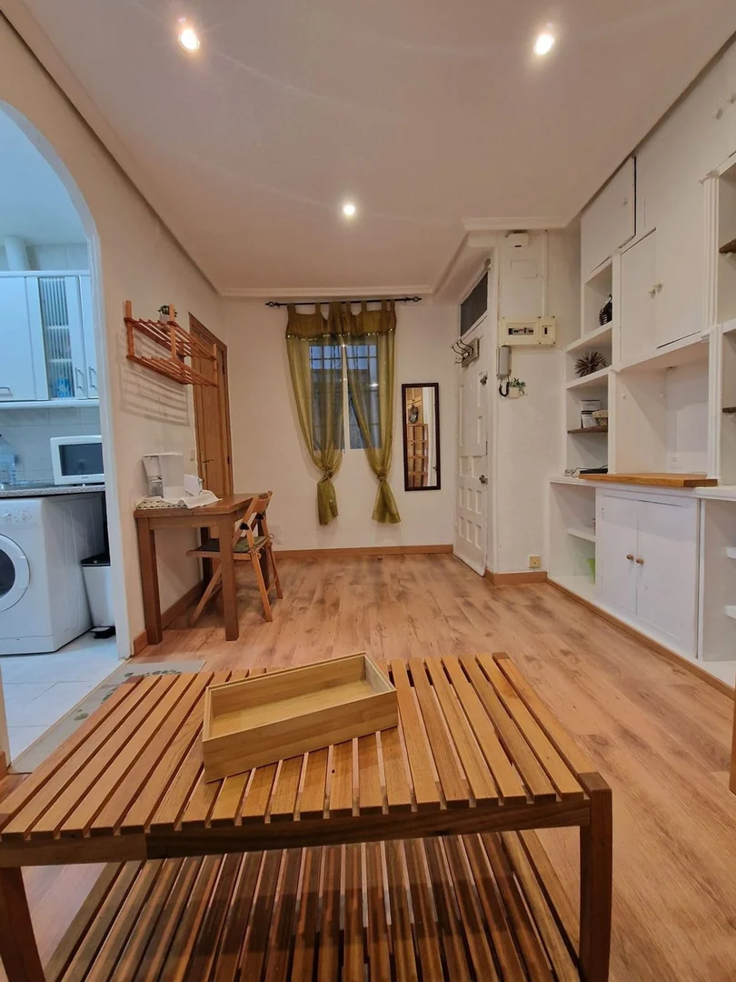 Estudio en Calle Provisiones, 11, Lavapiés-Embajadores - Foto 4