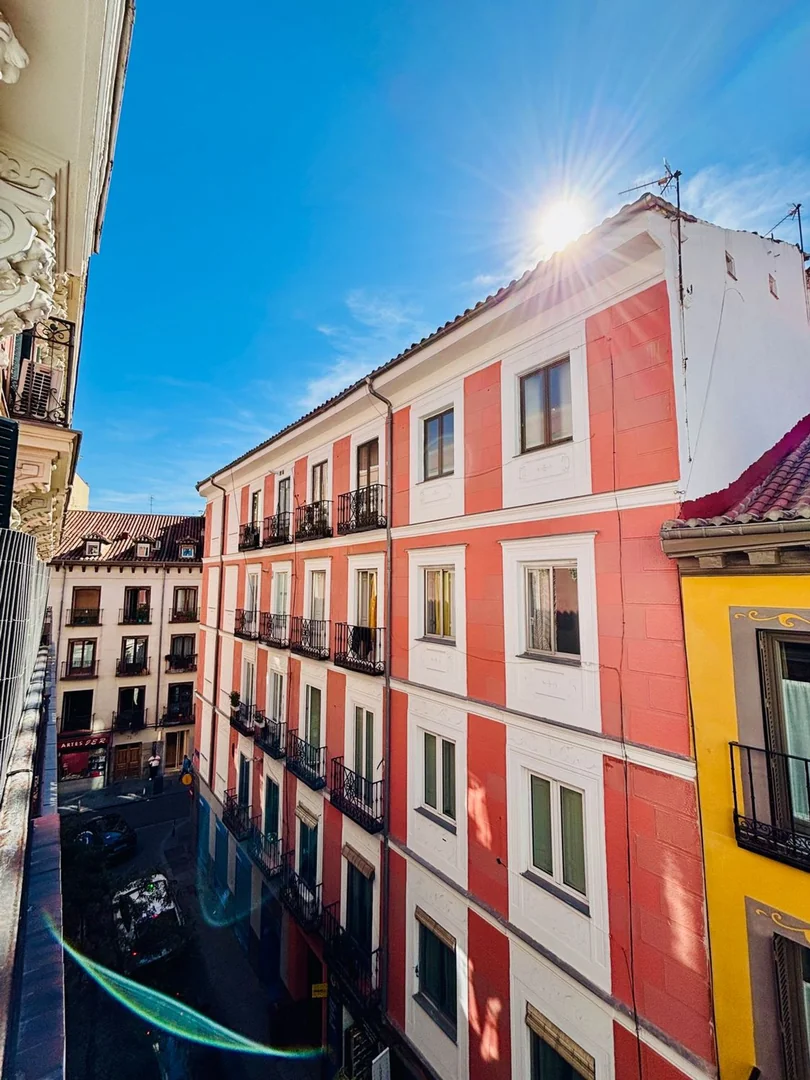 Piso en Calle de Hernán Cortés, 21, Chueca-Justicia - Foto 13