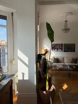 Piso en Barrio Cuatro Caminos - Foto 15