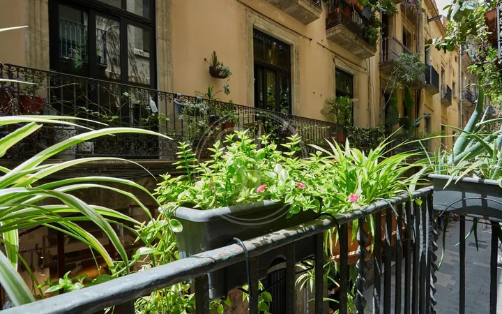 Piso en Calle dels banys nous, El Gòtic - Foto 10