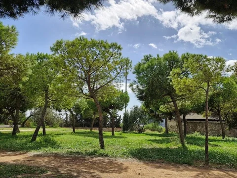 Piso en calle del Farell, 15 - Foto 15