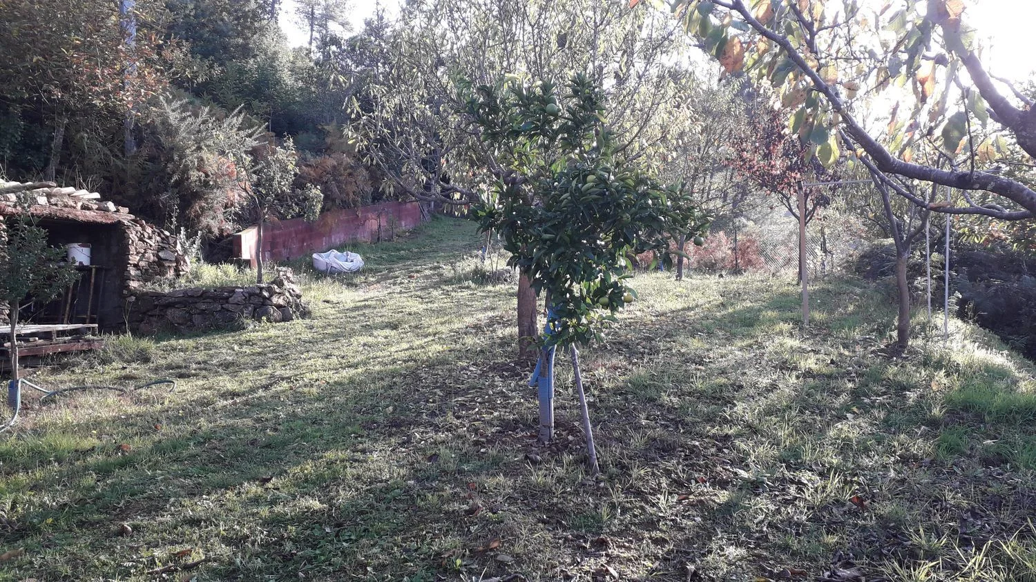 Casa de pueblo en Troncoso s/n - Foto 13