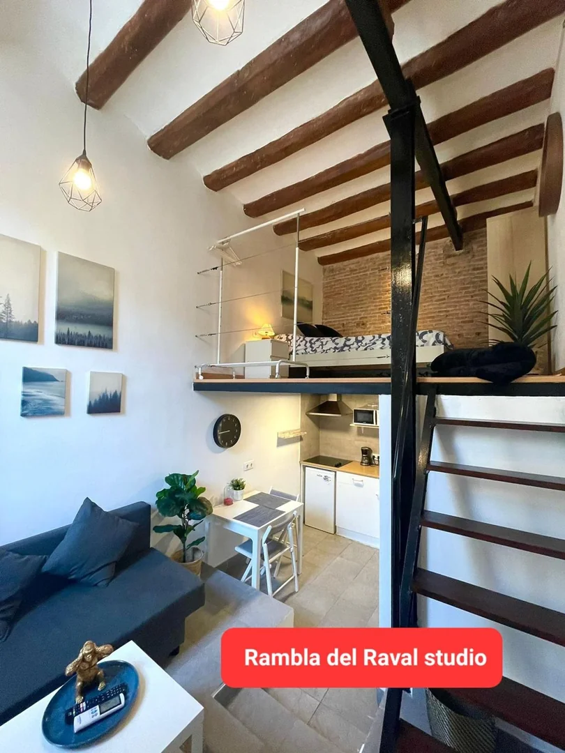 Estudio en Rambla del Raval, 14, El Raval - Foto 23