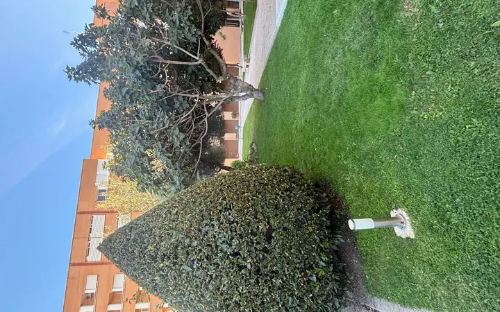 Piso en Calle de Eduardo Barreiros, 140, Villaverde Alto - Foto 16