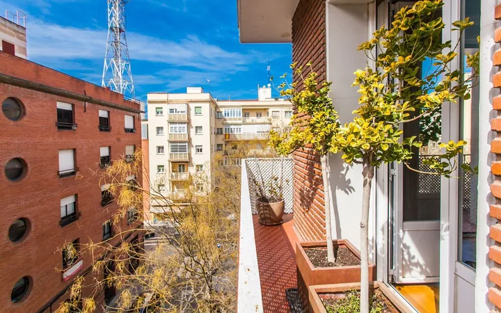Piso en Calle Gabriel Lobo, 10, El Viso - Foto 14