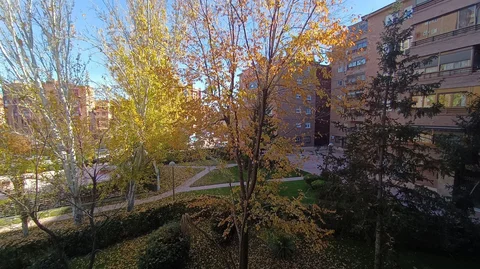 Piso en calle Carlos II, 8 - Foto 34