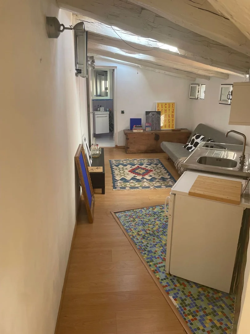 Ático en Plaza de Cascorro, 2, Lavapiés-Embajadores - Foto 35