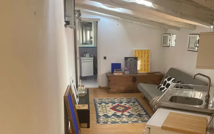 Ático en Plaza de Cascorro, 2, Lavapiés-Embajadores - Foto 35