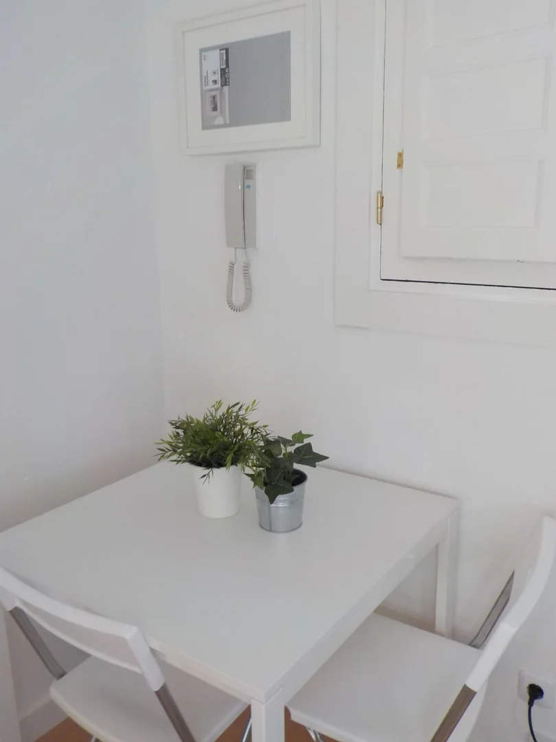 Estudio en Calle de Alberto Aguilera, 44, Gaztambide - Foto 10