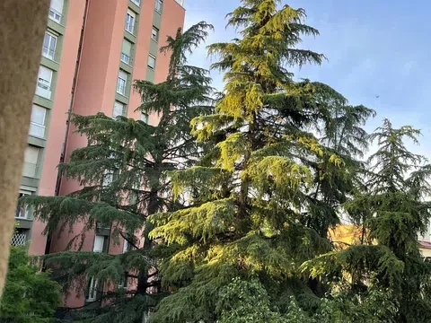 Piso en calle de San Magín, 11 - Foto 15