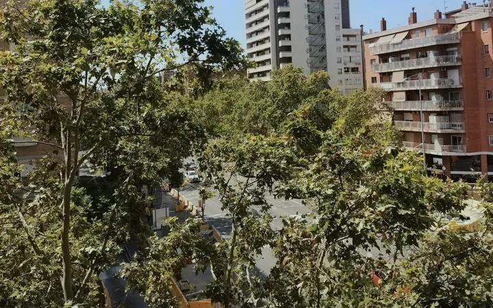 Piso en Gran Via de les Corts Catalanes, 816, El Fort Pienc - Foto 18