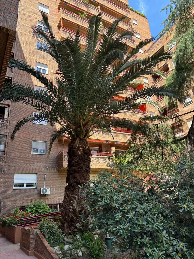 Piso en Calle de Dulcinea, 57 - Foto 21