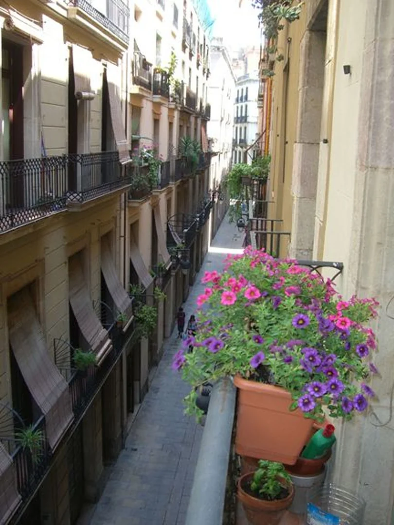 Piso en Calle Nou de Sant Francesc, 30 - Foto 22