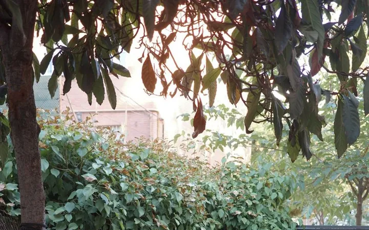Chalet pareado en Calle de Portalegre, 63, Opañel - Foto 10