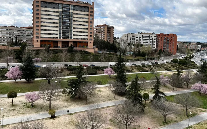 Piso en Calle de Joaquín Lorenzo, 19, Peñagrande - Foto 16
