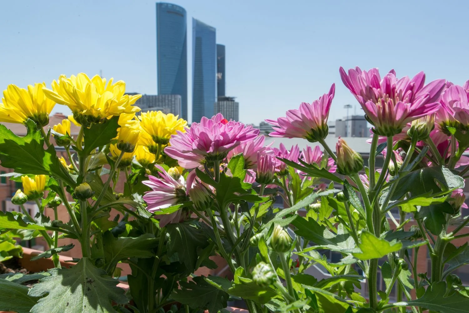 Piso en calle de Isidro Fernández, 5 - Foto 5