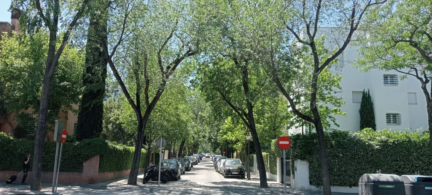 Piso en Calle del Cinca, El Viso - Foto 2