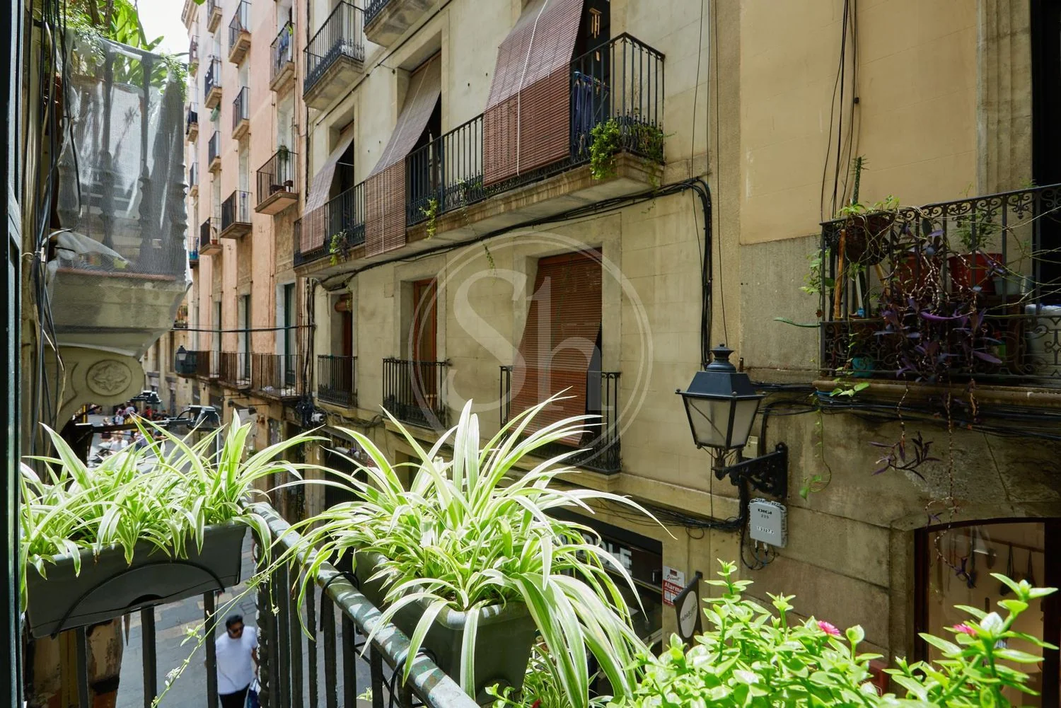 Piso en Calle dels banys nous, El Gòtic - Foto 9