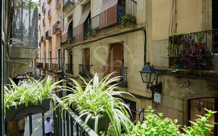 Piso en Calle dels banys nous, El Gòtic - Foto 9