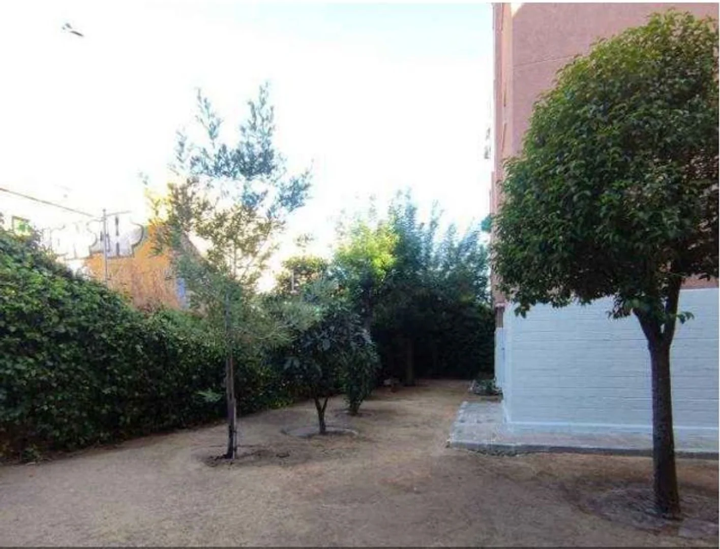 Piso en Calle de Carracedo, 25, Campamento - Foto 12