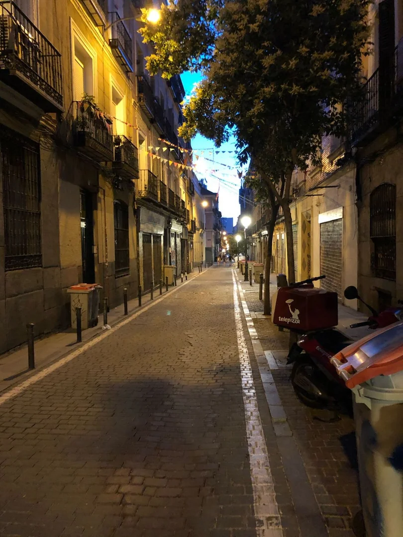 Ático en Calle de la Palma, 14, Malasaña-Universidad - Foto 37