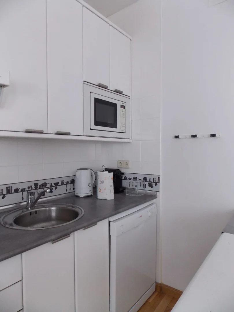 Piso en calle del Monte Esquinza, 7 - Foto 19