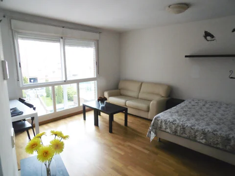 Estudio en Calle de Matilde Hernández, 29, San Isidro - Foto 2