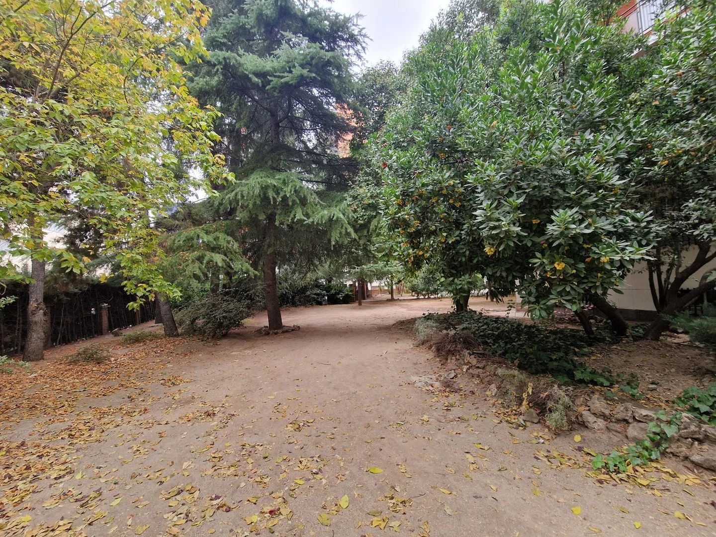 Piso en paseo de la Castellana, 223 - Foto 3