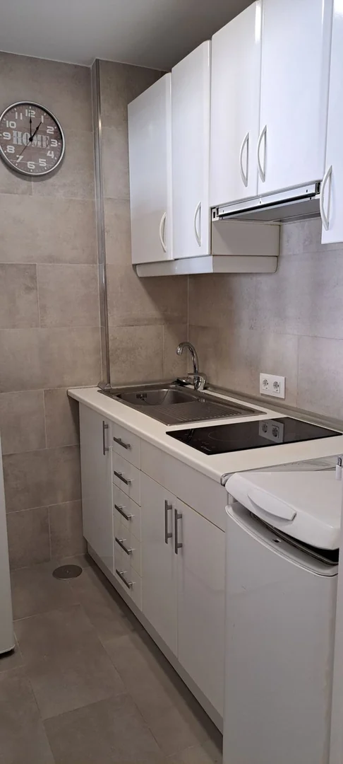 Piso en Calle Rafael Calvo, 31, Almagro - Foto 8