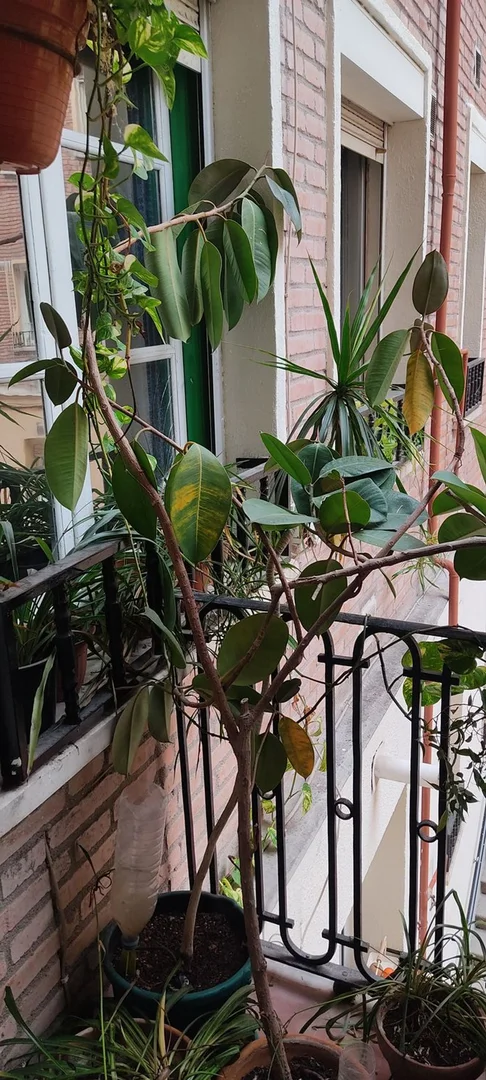 Piso en calle de Bravo Murillo, 41 - Foto 1