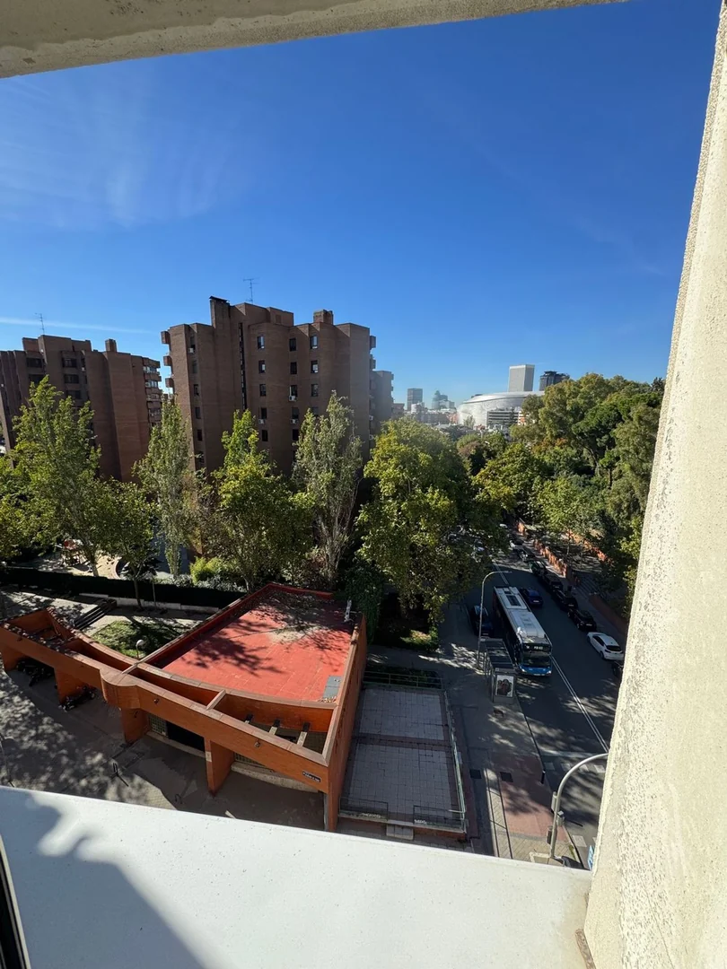 Piso en Paseo de La Habana, 80, Bernabéu-Hispanoamérica - Foto 32