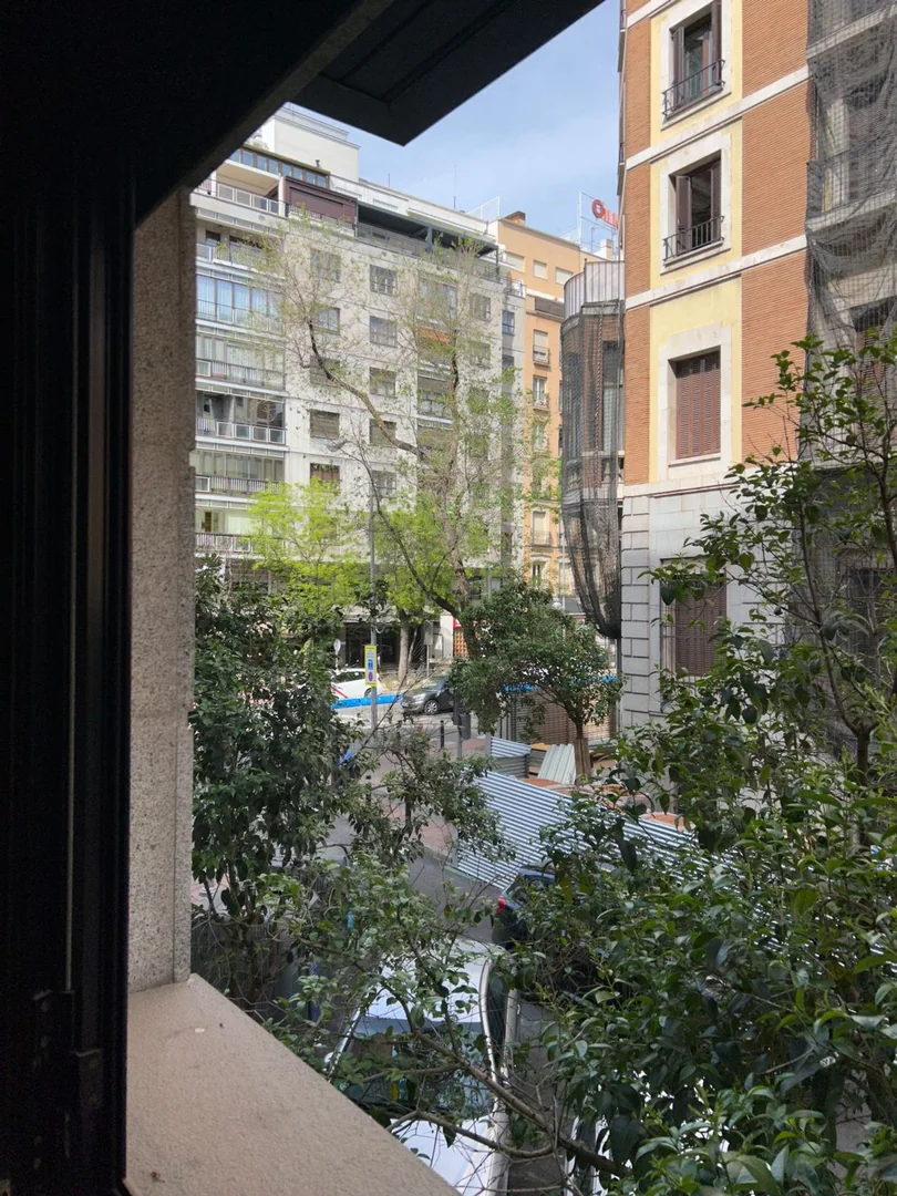 Piso en Calle de Diego de León, 12, Castellana - Foto 12