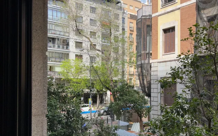 Piso en Calle de Diego de León, 12, Castellana - Foto 12