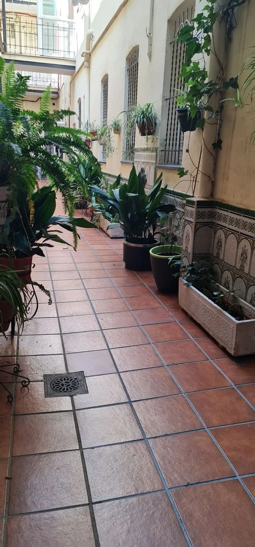 Estudio en calle de Oviedo, 17 - Foto 5