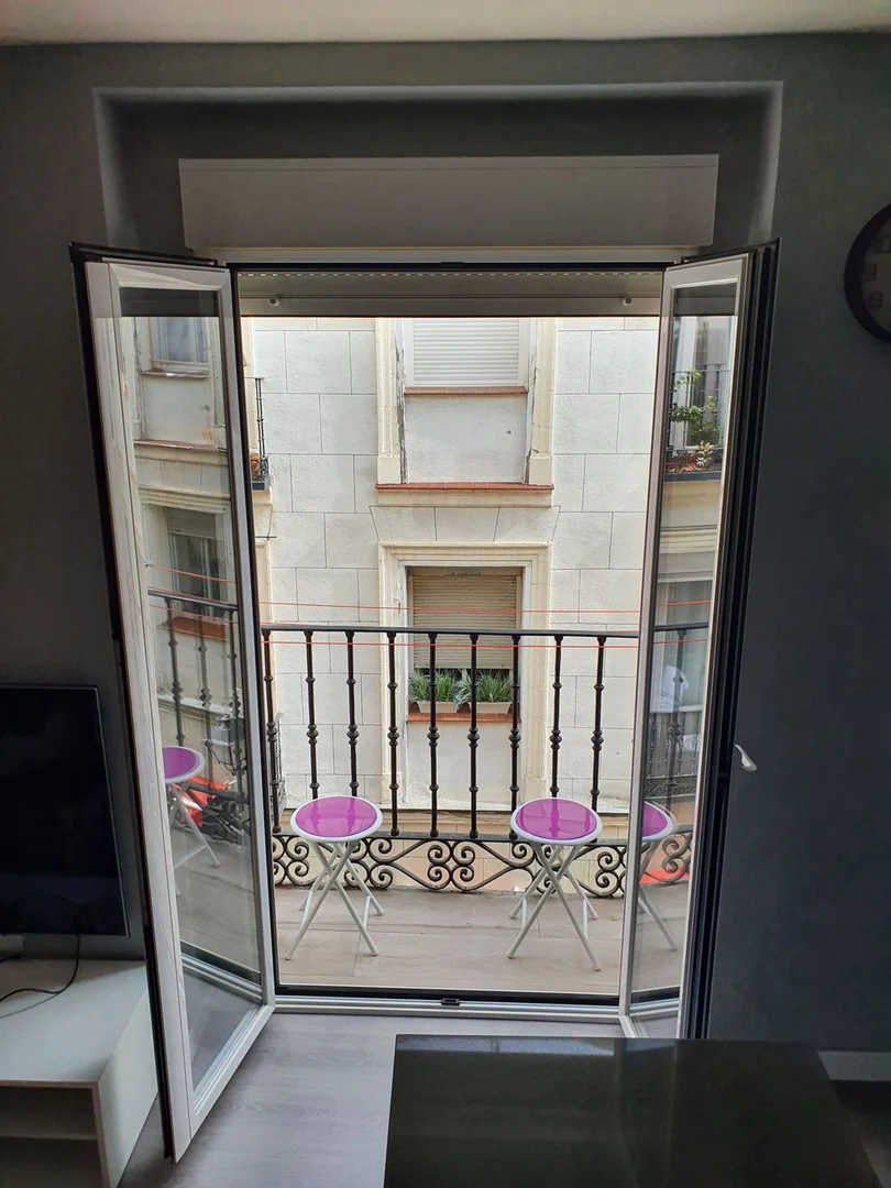 Piso en Calle de la Torrecilla del Leal, 6, Lavapiés-Embajadores - Foto 8