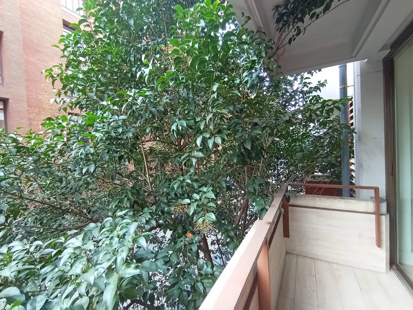 Piso en Barrio Huertas-Cortes - Foto 10