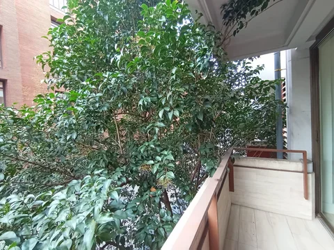 Alquiler de piso en Huertas-Cortes - Foto 10