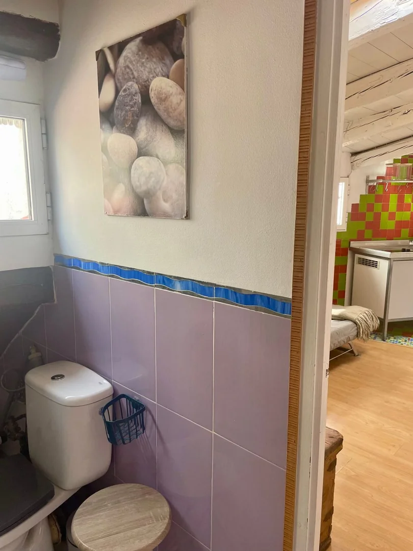 Ático en Plaza de Cascorro, 2, Lavapiés-Embajadores - Foto 26