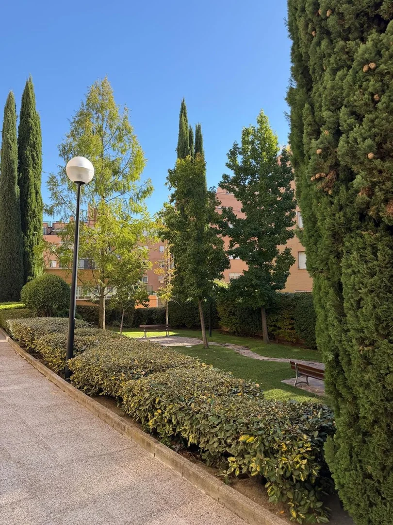 Piso en Calle de Bahía de Alcudia, 11, Campo de las Naciones-Corralejos - Foto 24