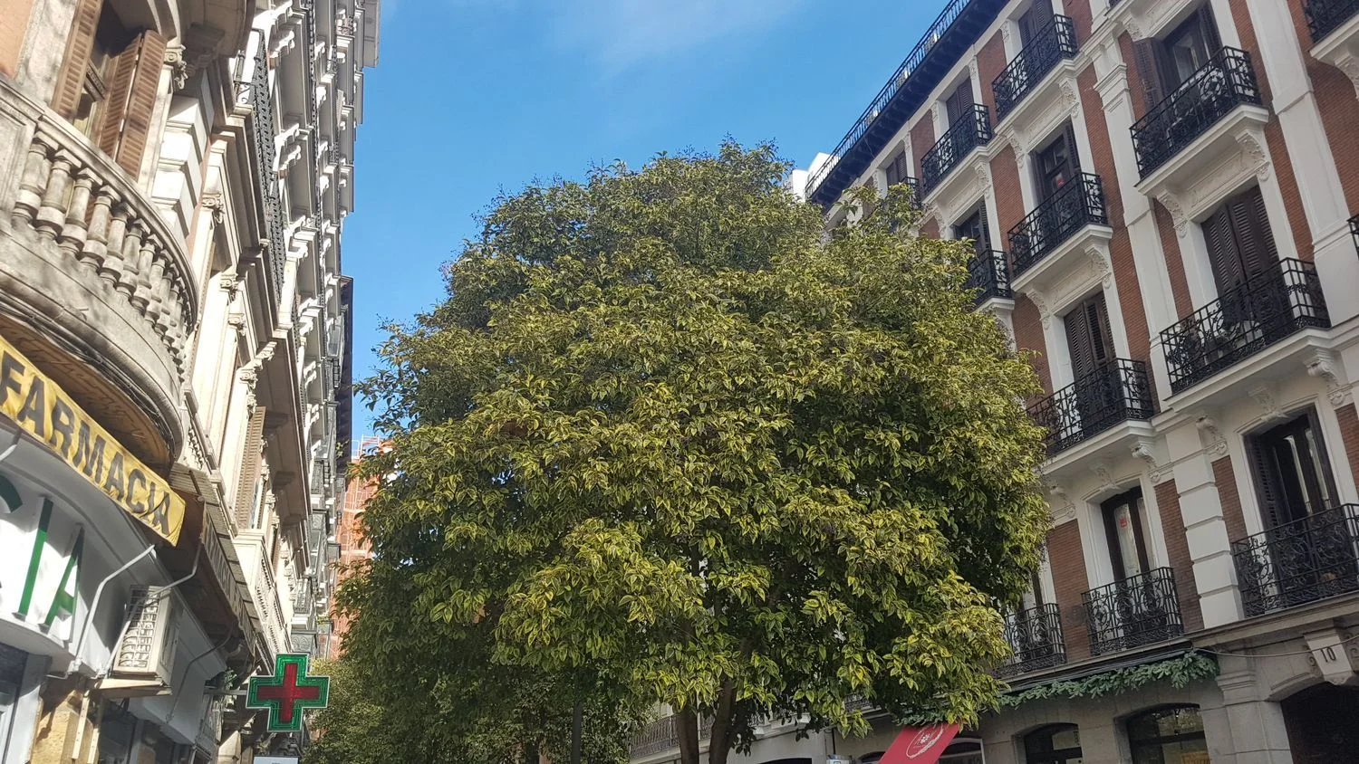 Piso en Barrio Chueca-Justicia - Foto 41