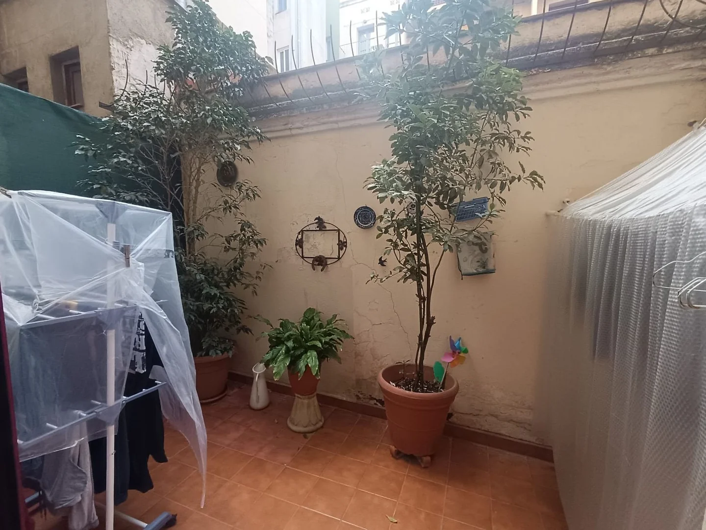 Piso en Calle Nou de Sant Francesc, 9, El Gòtic - Foto 33